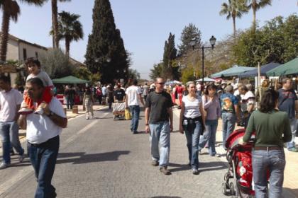 Sustainable Transport at Local Municipalities